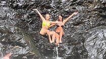  UTV 4wd Cassowary Falls and Daintree Rainforest Adventure tour 