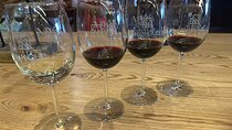 Wine Tasting experience in San Miguel de Allende 