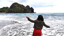 10 Day North to South Island NZ Private Tour from Auckland