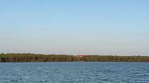 Can Gio Mangrove Forest & Authentic Thanh An Island Private Tour