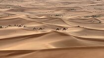 Dubai Red Desert Safari on Private 4x4, Sand Boarding, Camel 4hrs