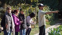 The Regenerative Farm and Sommelier Wine Tour