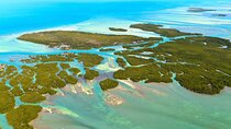 Private Key West National Wildlife Refuge Eco Trip