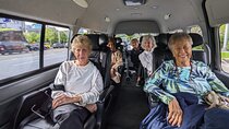 Private Customizable Car and Mini Van Tour in Tokyo