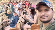 Ranthambore Tiger Safari Private Same Day Trip from Jaipur