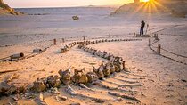Day Tour to El Fayoum from Cairo