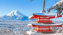 Mt Fuji Private Day Trip from Tokyo with English speaking driver