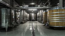 EXPLORATION - Visit of the estate, the cellars & tasting