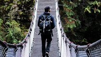 Guided Rainforest & Suspension Bridge Private Hike