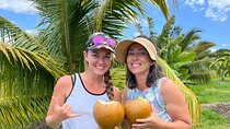 Macnut Tour, Picnic lunch and Maui Bees