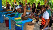 Safari Adventure From Punta Cana with Hotel Pickup