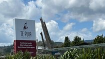 Te Puia And Redwood Park Day Trip Transport From Auckland 