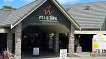 Wai O Tapu And Te Puia Day Trip Transport From Auckland 
