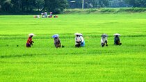 5 Nights 6 Days in Kerala Hills and Backwaters