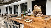 Guided tour and tasting in mushroom cultivation