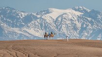 Private Safari Experience in Agafay Desert