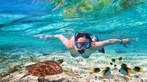Tulum Ruins and Turtles Express