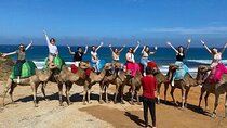 Full-Day Private Guided Tour