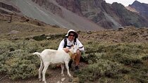 Private Guided Tour in Maipo Canyon with Winery