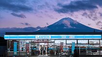 Majestic Mount Fuji: Exclusive Private Day Tour