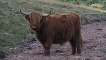 Guided hike in Edinburgh's Pentland Hills