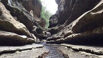Hells Gate National Park & Lake Naivasha Day Trip from Nairobi