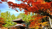 Mt Koya 1 Day Bus Tour from Osaka