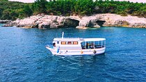 Private Brijuni Day Cruise with Dinner and Drinks