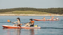 Adventure Kayak Tour in Seagulls Rocks
