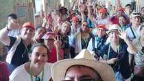 Experience in the Vatican Museums with Guide