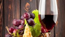 Wine Tasting + Private Tour Coastal Near Lisbon