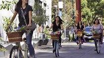 Bike adventure through the Historic Center of Mexico City