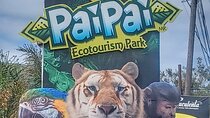 Pai Pai Animal Experience: Pvt Transportation + Ticket Option