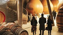 Private 3 Winery tour in Casablanca from Santiago