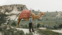 Camel Ride in Cappadocia 