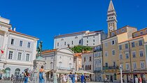Postojna cave and Slovenian coast from Trieste - Private tour 