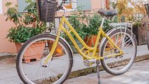 Paris day Bike Rental 
