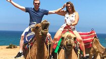 Port Pick Up: Tangier All-inclusive Small Group Tour