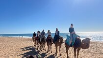 Full Day Private Tour in Tangier