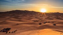 Abu Dhabi Sunrise Desert Safari & Authentic Bedouin Coffee