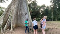 Day Trip Near Accra - Visit Aburi Gardens, Waterfall & Cocoa Farm