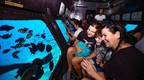 Seascope Semi Submarine-Hurghada