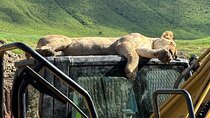 Classic 4-Day Tanzania Safari: Tarangire, Serengeti & Ngorongoro 