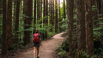 Magome to Tsumago Hiking Tour from Nagoya