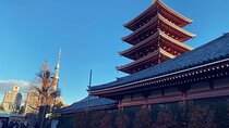 Customizable Tour in Tokyo Japan with Driver