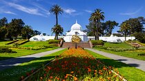 Golden Gate Park Tour With California Academy of Sciences Ticket