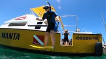 Guided by Divemaster, Cabo San Lucas short Snorkeling Tour MANTA 
