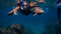 Sunset Glow Snorkel At Turtle Town With Photo & Video