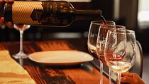 Guided tour with tasting at Viñedo los Arcángeles