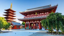 Tokyo Private Tour with English Speaking Driver